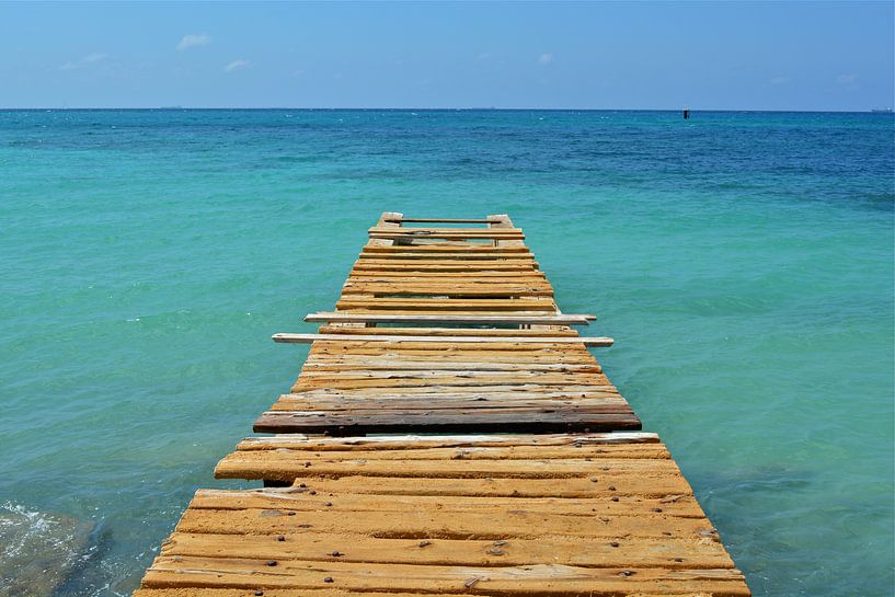 To the ocean by Ron Steens