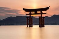 Miyajima eiland  -  Itsukushima Floating Torii Gate bij zonsondergang van Marcel van den Bos thumbnail