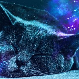 Sleepy Galaxy Giant Cat von Lemo Boy