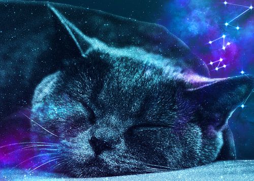 Sleepy Galaxy Giant Cat