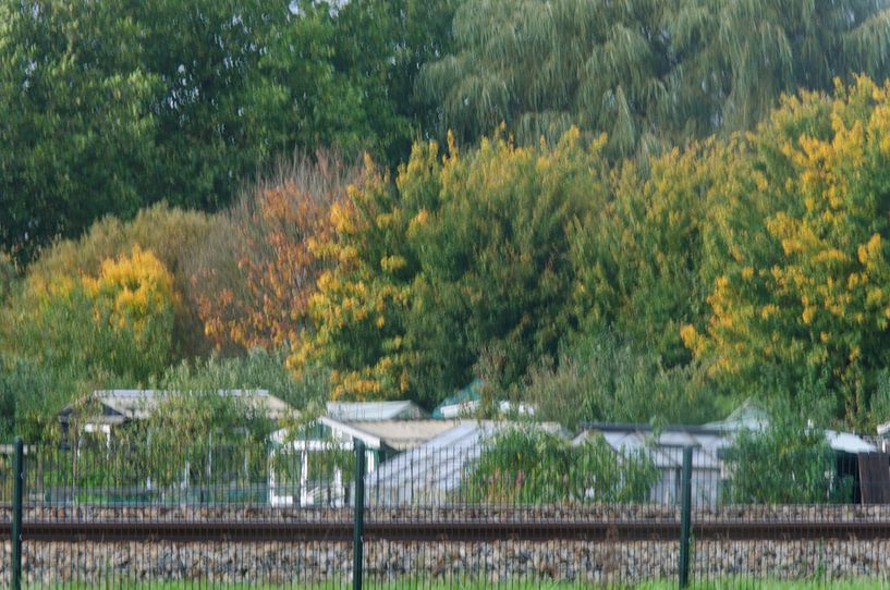 herfstkleuren  by Robert Lotman