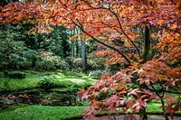 Prachtige herfstkleuren