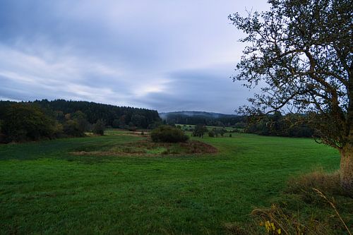 In de bossen van het Saarland biedt zich in de herfst een bijzonder beeld: weiden en solitaire bomen.