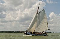 Windforce 5