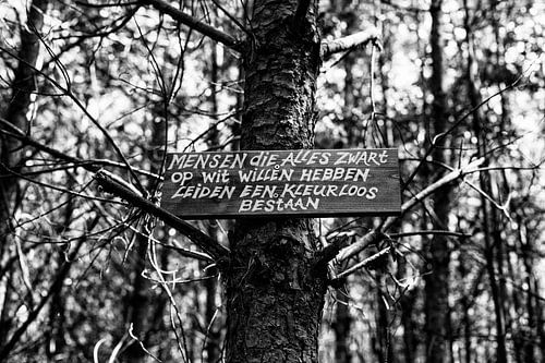 A colourless existence (black and white)