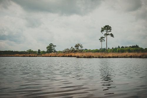Hatertse and Overasselt Fens