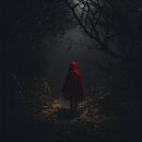 The Black Enchantment of Little Red Riding Hood by Karina Brouwer thumbnail