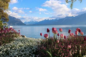 Swiss Riviera von Ilse de Deugd