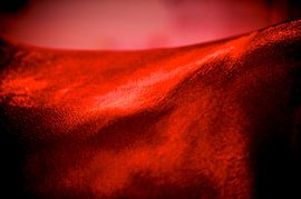 Detailfoto van een paard van Arnd Bronkhorst Photography