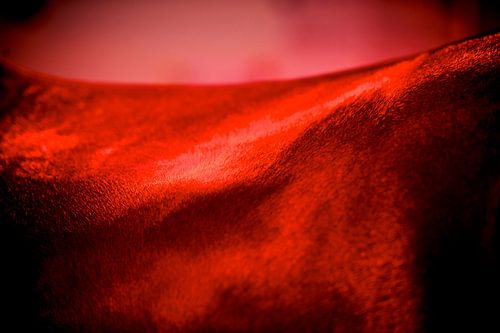 Detailfoto van een paard