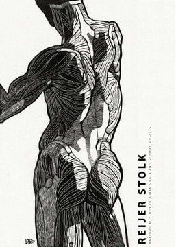 Reijer Stolk - Anatomical Study of a Man 02