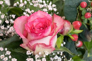 eine rosa Rose in einem Blumenstrauß von W J Kok