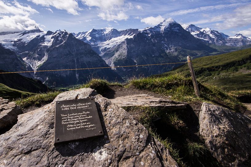 Song of praise in the mountains! by André Hamerpagt