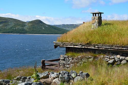 In the Norwegian mountains