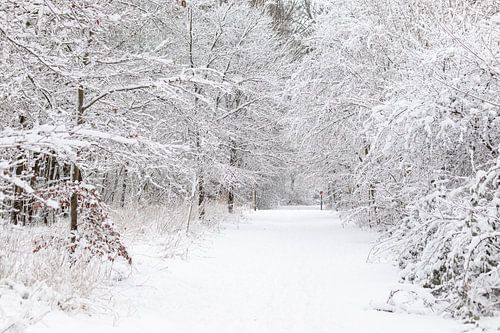 Réflexion hivernale : De l'espace pour l'esprit