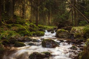 Bodefälle im Harz