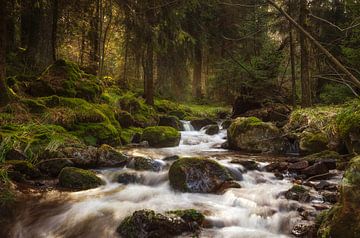 Bodefälle dans les montagnes du Harz
