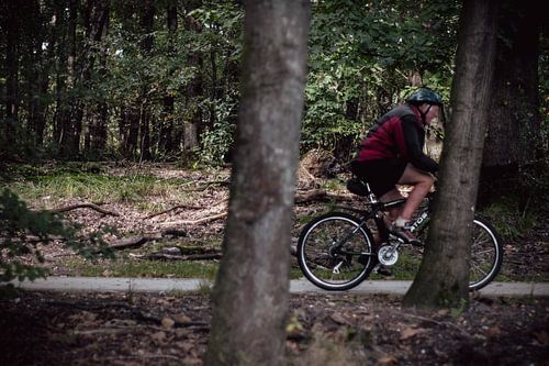 Cyclisme en forêt