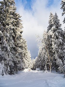 Landschaft im Winter im Thüringer Wald in der Nähe von Schmied