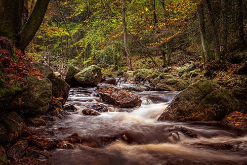 De Hoëgne in de herfst