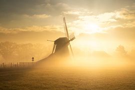 Une matinée ensoleillée au moulin De Zwaluw à Oudemolen