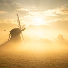 Ein goldener Morgen bei der Mühle „De Zwaluw“ in Oudemolen von KB Design & Photography (Karen Brouwer)