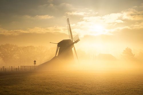 Gouden ochtend bij Molen De Zwaluw in Oudemolen