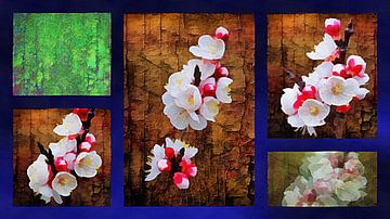 Abrikozenbloesem collage van Dorothy Berry-Lound