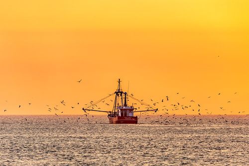 Texelse Avond: Een Vissersboot in Gouden Licht