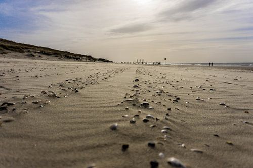 Muscheln auf See von Lea Wever