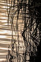 Spiegelung in einem Poldergraben