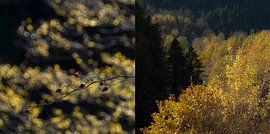 Herfst in Opper-Svanetië, een tweeluik in 1 beeld