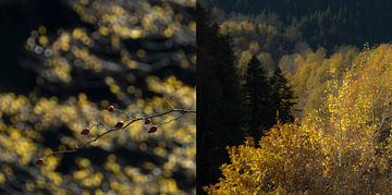 Herfst in Opper-Svanetië, een tweeluik in 1 beeld van Anne Hana