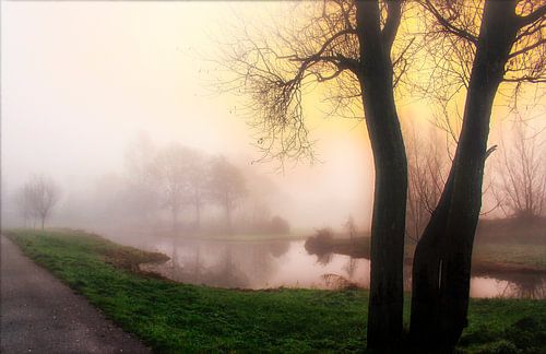 Mist