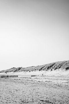 Ligne de dune de plage en contraste silencieux noir et blanc
