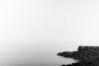 Bay in the mist