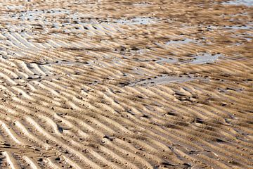Nasser Sand nach der Flut von Percy's fotografie
