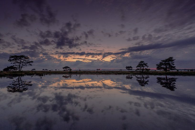 Reflexionen in der Landschaft von Andy Luberti