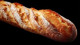 Baguette portrait panorama by TheXclusive Art