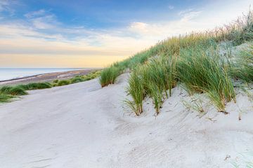 Uitzicht over het strand van de Baltische Zee van Daniela Beyer