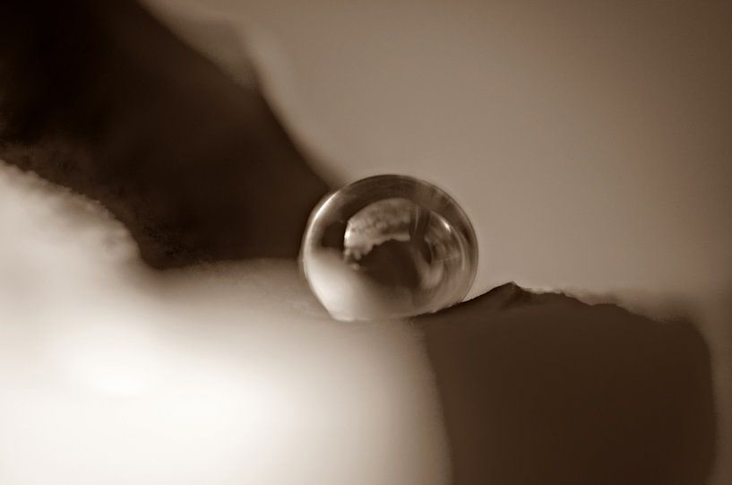 goutte captive par Jessica Berendsen