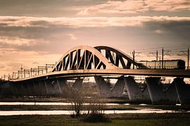 Golden Hanzeboog van Jan Willem Oldenbeuving