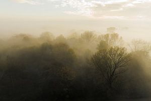 Nebliger Wald aus der Vogelperspektive im Herbst