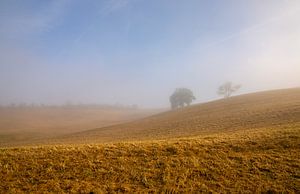 Toskanische Landschaft im Nebel