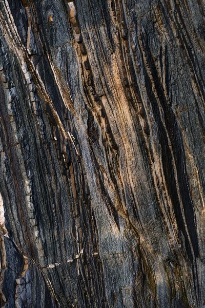 Formatie van Marvin Schweer