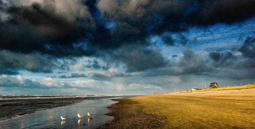 Strand von Henk Leijen