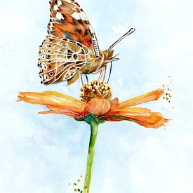 Papillon chardon détaillé sur une fleur orange sur Atelier DT