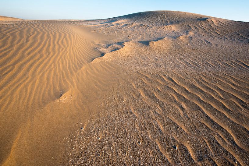 Sable néerlandais à la dérive par Leendert Noordzij Photography