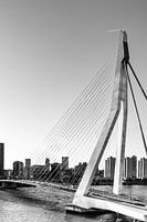 Erasmusbrug in Rotterdam