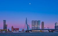 Skyline Rotterdam
